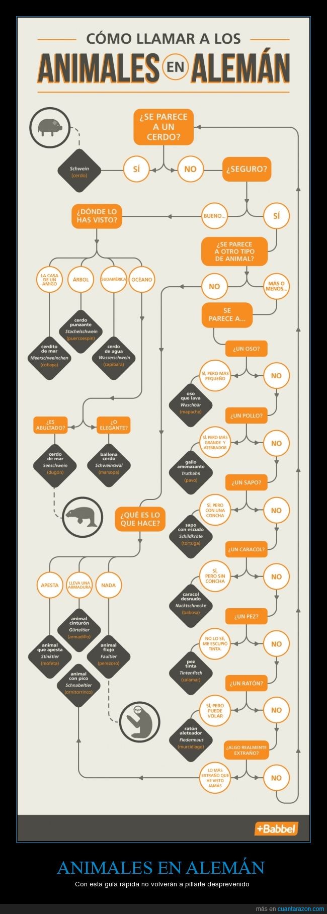 volkswagen,aleman,nombre,esquema,cerdo,oso perezoso,ornitorrinco,caracol,calamar,schwein,tintenfisch,stinktier,animales,schwarzenegger